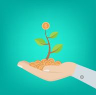 Money Tree on hand N3