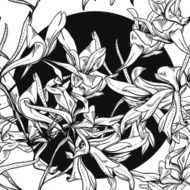 seamless monochrome vector pattern from abstract flowers N5