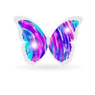 butterfly N49
