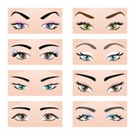 Set of female eyes and eyebrows Vector illustration eps10
