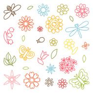 Natural set of beautiful flowers beetles and butterflies