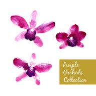 Collection of purple watercolor orchids