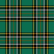 tartan plaid N21