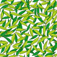 Seamless pattern of the leaves on white background