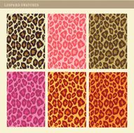 seamless leopard swatches
