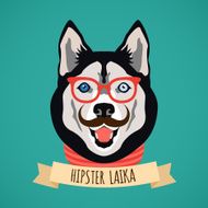 Hipster dog portrait N2