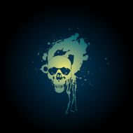 Skull N29