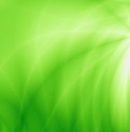 Green nice bio texture abstract background