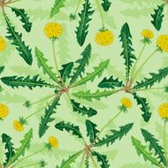 Yellow dandelions