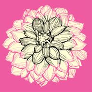 Flower decorative background N2