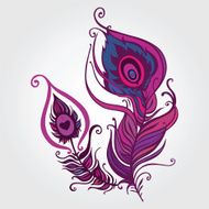 Beautiful peacock feather N2