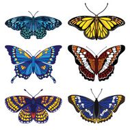 set with butterflies isolated on white N2