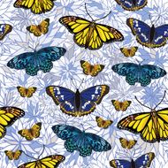 seamless pattern with butterflies N63