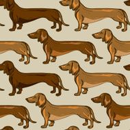 Seamless pattern of Dachshund dogs