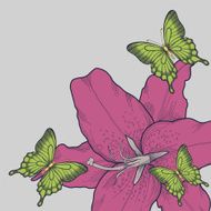 beautiful background for a card with butterflies lily