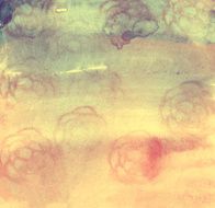 Abstract watercolor background N46