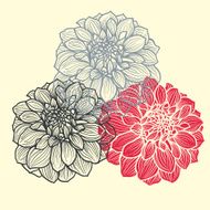Hand-drawn flowers of dahlia N16