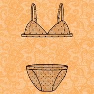 Hand drawn vector sexy lingerie set N19
