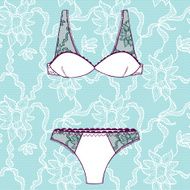 Hand drawn vector sexy lingerie set N20