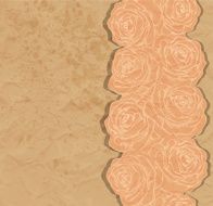Vintage background Beautiful rose in the corner