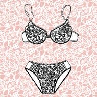 Hand drawn vector sexy lingerie set N21