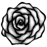 abstract rose hand drawing in a graphic style