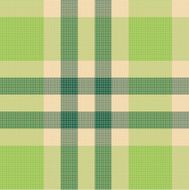 Color fabric plaid Seamless vector illustration N6