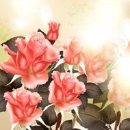 Beautiful vector background with pink detailed roses