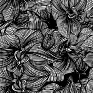 monochrome vector seamless pattern from graphic flowers N2