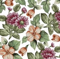 Flowers Vector Beautiful background with a flower ornament N26