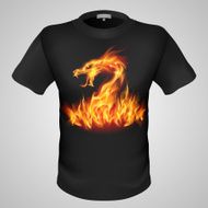 Male t-shirt with print N6