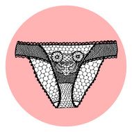 Lacy sexy vector panty N8