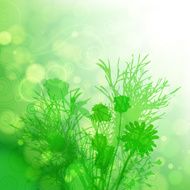 Floral background N524