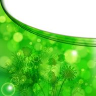 Floral summer background
