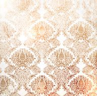 Ornate Pattern Background N3