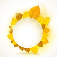 Vector frame with stylish composition of fall leaves N2