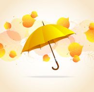 Colored leafs and umbrella