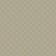 Vintage shabby background with classy patterns N1002