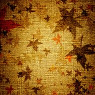 grunge leaves on canvas