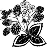 black and white abstract strawberry flower with leaves