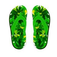 flip flops isolated on white background