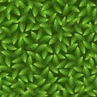 Green leaves pattern Seamless vector