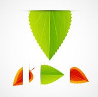 Vector Leaves N3
