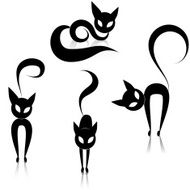 Black Cat N14