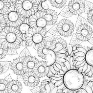 set of beautiful black and white seamless background with sunflowers