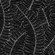 black and white seamless background with fern leaves N2
