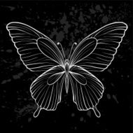 graphic black and white butterfly