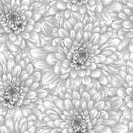 Beautiful monochrome black and white seamless background with dahlia