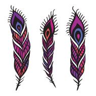 Peacock Feather set N5