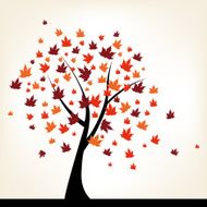 Autumn Tree N24